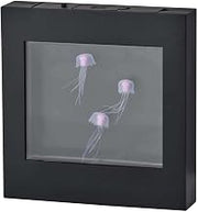 SL3723-01 Jellyfish Motion Light Box, Black