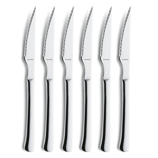 Chuletero Steak Knife Set on Hanging Card by Amefa – 22.5 cm, Stainless Steel, White, Pack of 6, Model 703800BC09BR6
