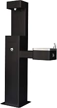 Global Industrial Outdoor Drinking Fountain with Bottle Filling Station,