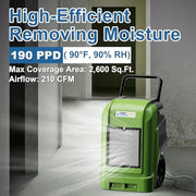 ALORAIR Green / Storm Pro / Storm-Pro-Green-OLD Dehumidifiers