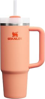 STANLEY 30 oz Recycled Stainless Steel Tumbler with FlowState Lid