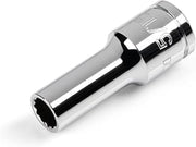 TEKTON 3/8 Inch Drive x 5/16 Inch 12-Point Socket | SHD14208