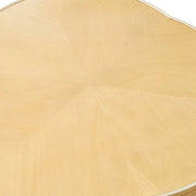 Camellia Field Caramel Cocktail Table with Elegant Rustic Design by Michael Amini – Solid; Manufactured Wood, Caramel, Model N9090204-134