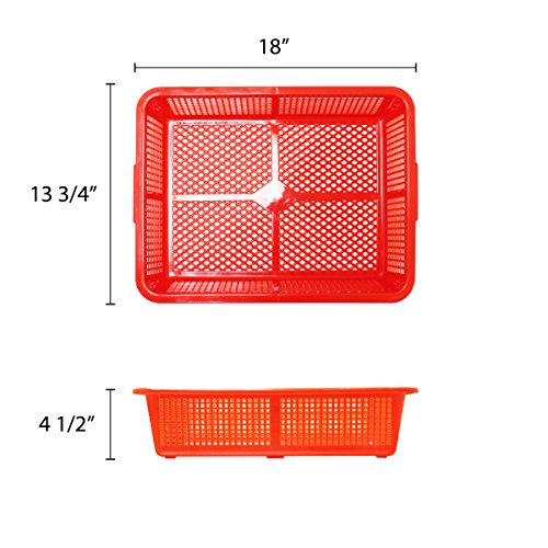 Thunder Group 500mm / Blue / Square, Plastic, Coarse Mesh, Modern Colanders