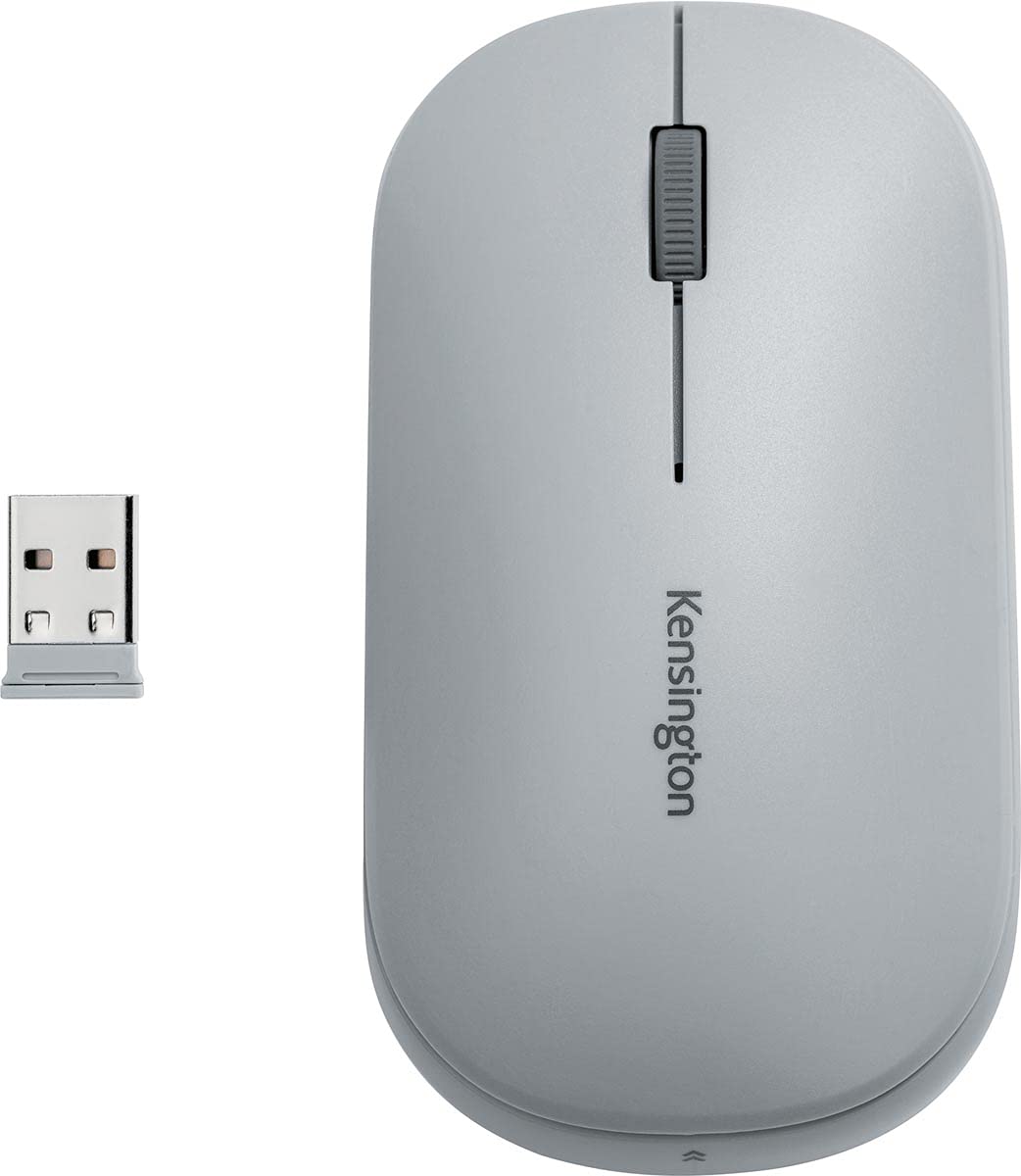Kensington Gray / Modern / 1 Mice