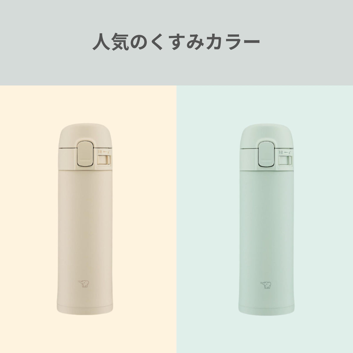 Stainless Steel Water Bottle by Zojirushi – 10.1 Ounces, 0.3 liters, Stainless Steel, green, (sage green), Model SM-PD30-GM