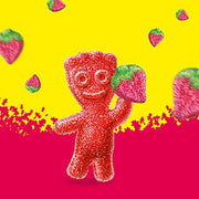 Sour Patch Kids Strawberry / 12 Ounce (Pack of 12) / Red Gummy Candy
