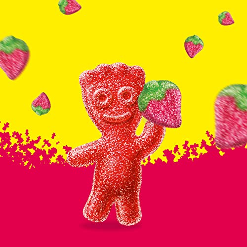 Sour Patch Kids Strawberry / 12 Ounce (Pack of 12) / Red Gummy Candy
