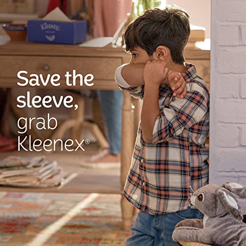 Kleenex White / 160 Count (Pack of 1) / 1 Box Tissues
