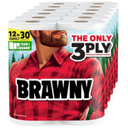 Brawny 12 Family Rolls (100 Sheets Each) / White / 1 Paper Towels