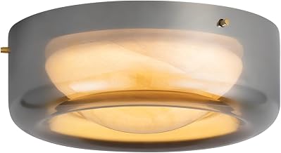 Hudson Valley Lighting Eldred 1-Light Flush Mount | Aged Brass with Plated Smoke & Swirled Cappuccino Glass | Layered Modern Ceiling Light Fixture | 6071-AGB