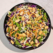 Fresh Gourmet Asian Fusion Crunch / Asian Fusion / 3.5 Ounce (Pack of 1) Salad Toppings
