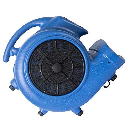 XPOWER Medium / Pro X-800TF / Blue Floor Fans