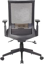 Mesh Mid-Back Office Chair with Adjustable Arms and Lumbar Support, Ergonomic Task Chair for Home Office Desk and Computer Work, Black
