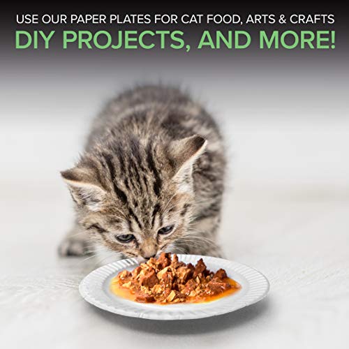 Stock Your Home 1000 / 1000 Count / White Plates