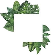 Tropical Plant Switch Sticker Waterproof PVC Self Adhesive Wall Decor for Bathroom Humid Environment