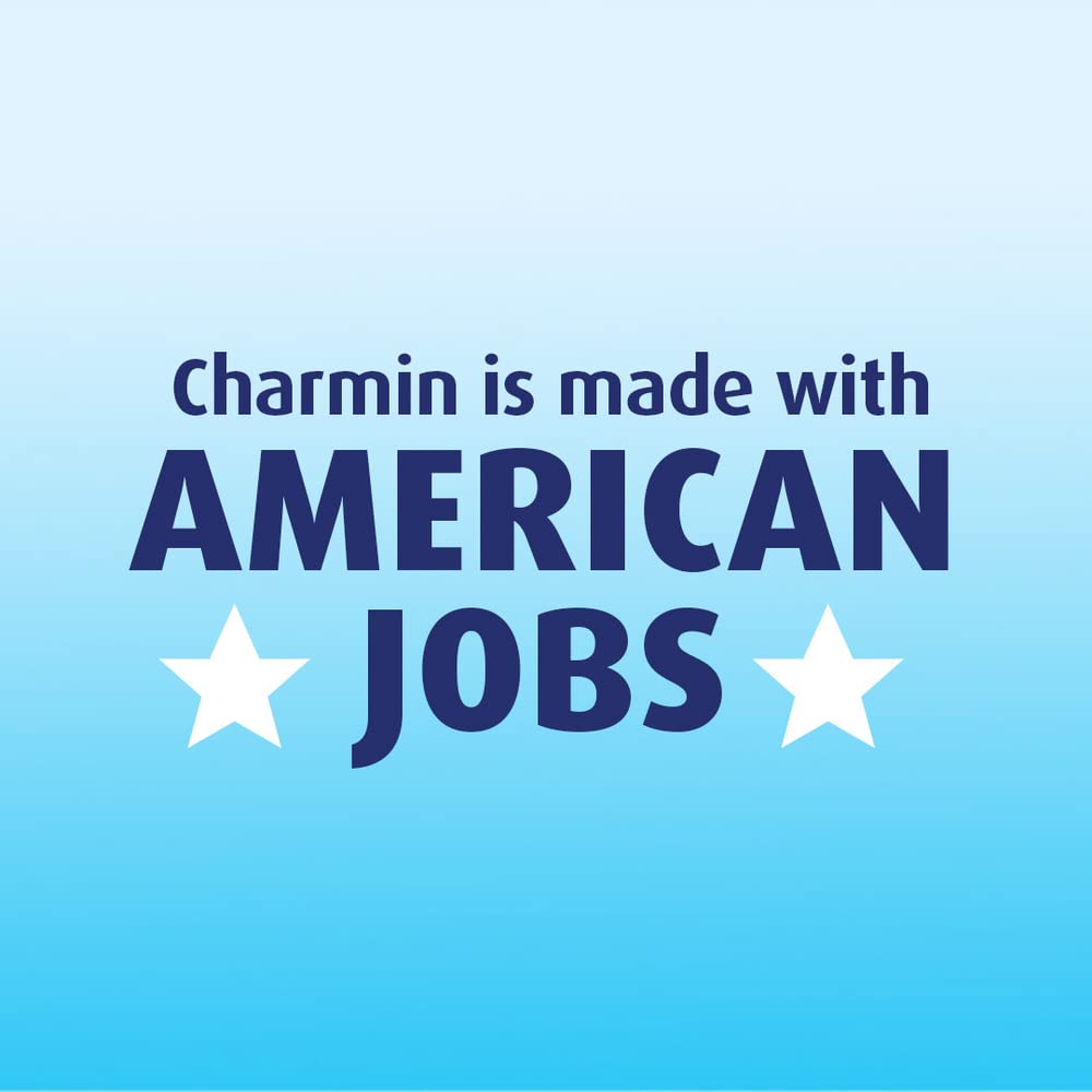Ultra Strong Toilet Paper 16 Mega Rolls by Charmin – 16 Count (Pack of 1), Paper, White, Pack of 16, Model 030772041673