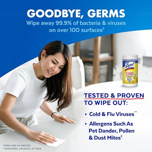 Lysol 80 Count (Pack of 4) / Wipes / 1 Disinfectant Wipes
