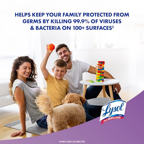 Lysol 80 Count (Pack of 4) / Mango + Lavender / 1 Disinfectant Wipes