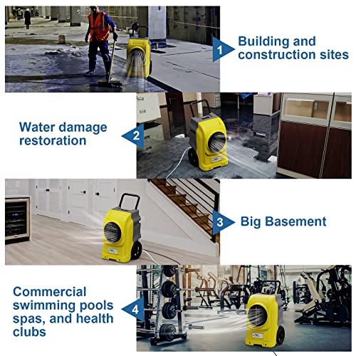 ALORAIR Yellow / Large / Storm Elite Dehumidifiers