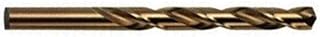 Casafoyer 25' x 20" Camdon Fir Garland 900 Tips - A861126 - (Pack of 2)