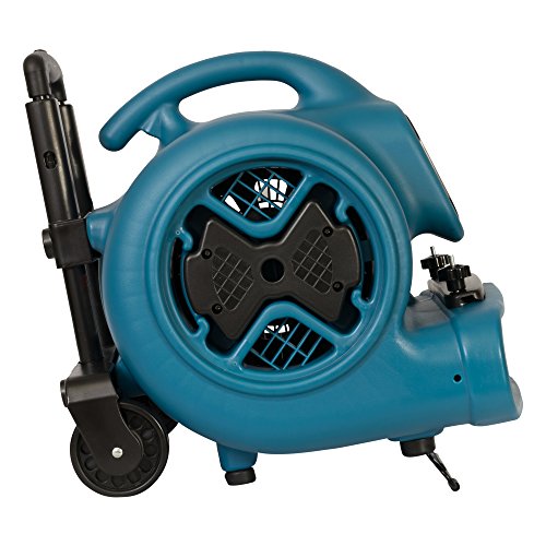 XPOWER Medium / Pro P-630HC / Blue Carpet & Upholstery Cleaners & Accessories