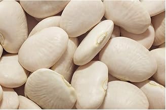 Commodity Canned Fruit and Vegetables Fancy Butter Beans in Sauce, 108 Ounce -- 6 per case.