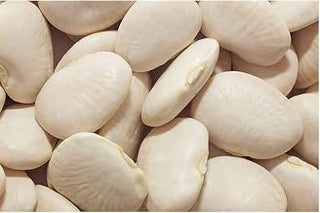 Commodity Canned Fruit and Vegetables Fancy Butter Beans in Sauce, 108 Ounce -- 6 per case.