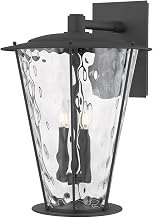 Troy Lighting Jantzen Outdoor Wall Sconce | Textured Black Finish | Water Glass Lantern Design | Traditional Caged Exterior Light | Wet Rated | 15" W x 21.5" H | B7122-TBK