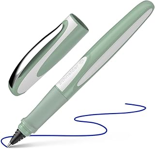 Schneider Ray Cartridge Rollerball Pen, M (Medium), Refillable, 1.0 mm, Pistachio Barrel, Royal Blue Erasable Ink Cartridge (187813)