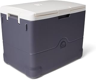 Igloo Iceless Thermoelectric Cooler | Portable Electric Plug-in Coolers