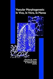 Vascular Morphogenesis: In Vivo, In Vitro, In Mente (Cardiovascular Molecular Morphogenesis)