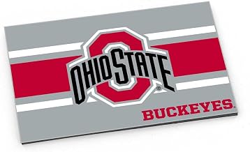 Aminco NCAA Team Logo 3" x 2" Striped Magnet (Ohio State Buckeyes)