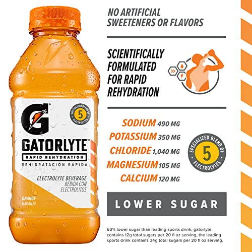 Gatorade Orange / 20 Fl Oz (Pack of 1) / 1 Sports Drinks
