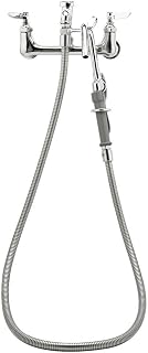 T&S Brass B-2313 Pot and Kettle Filler, Wall 8" C/C, Vacuum Breaker, 68" Hose with Quick Connect Nozzle