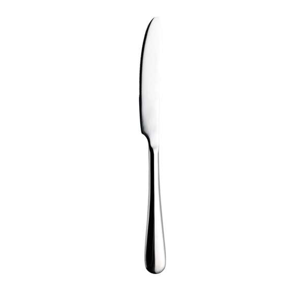 Chef & Sommelier Stainless Steel Arc Cardinal, Silver, 12/Case - 9 1/4" / Polished