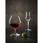 Chef & Sommelier Specialty Crystal Arc Cardinal, Clear, 24/Case - 24 oz.