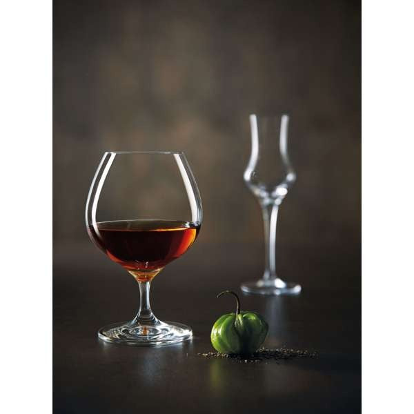 Chef & Sommelier Specialty Crystal Arc Cardinal, Clear, 24/Case - 24 oz.