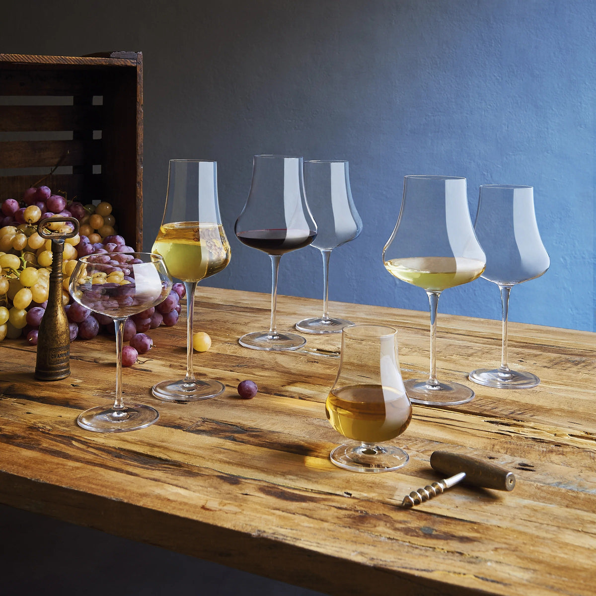 Luigi Bormioli 12500/01 Tentazioni Crystal Champagne Flute, 14.25 oz., Clear, 12/Pack - photo 2