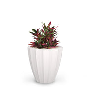 Mayne 2830 Sedona Planter, 5.6 dry gallons - White