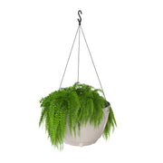 Mayne 3885 Caprio Planter, 0.43 gal. 2.27 dry gallons - White