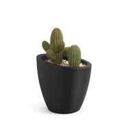 Mayne Modesto Planter, Black - photo 2