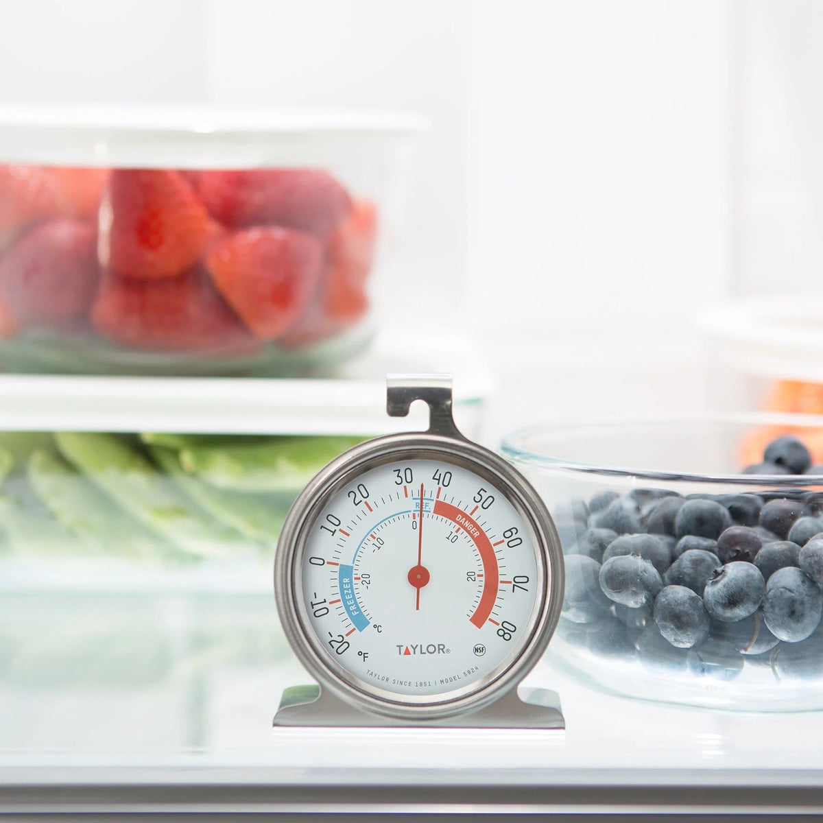 Taylor 5924 Stainless Steel Freezer Thermometer, Silver - photo 2