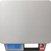 Taylor TE10PZR Plastic Pizza Scale, 10 lb. Capacity - photo 3