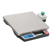 Taylor TE10PZR Plastic Pizza Scale, 10 lb. Capacity - Default Title