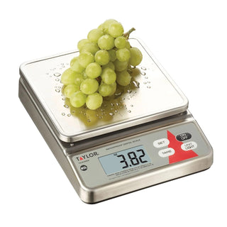 Taylor TE20SSW Stainless Steel Portion Control Scale, 20 lb. 320 oz. 9,000 Grams - Default Title