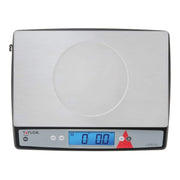 Taylor Plastic Portion Control Scale, 12 1/4" Wide - photo 2