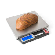 Taylor Receiving Scale - photo 2