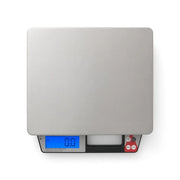 Taylor Receiving Scale - photo 3