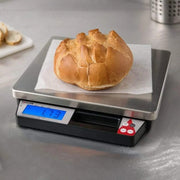 Taylor Receiving Scale - photo 4